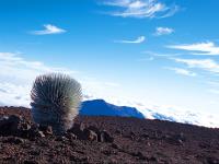 Haleakala Crater Tour Haleakala Crater Tour
