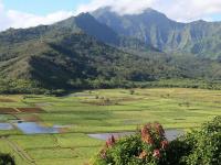 Hawaii Movie Tours Hawaii Movie Tours