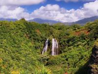  shore excursions in Hawaii