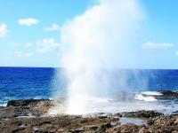 shore excursions in Hawaii