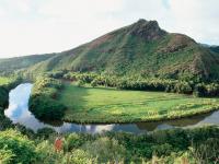 Wailua River Cruise & Grotto